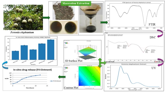 GA_Development and Optimization of a Feronia elephantum Leaf Extract Ointment: A QbD-Based Approach for Enhanced Anti-Inflammatory Activity