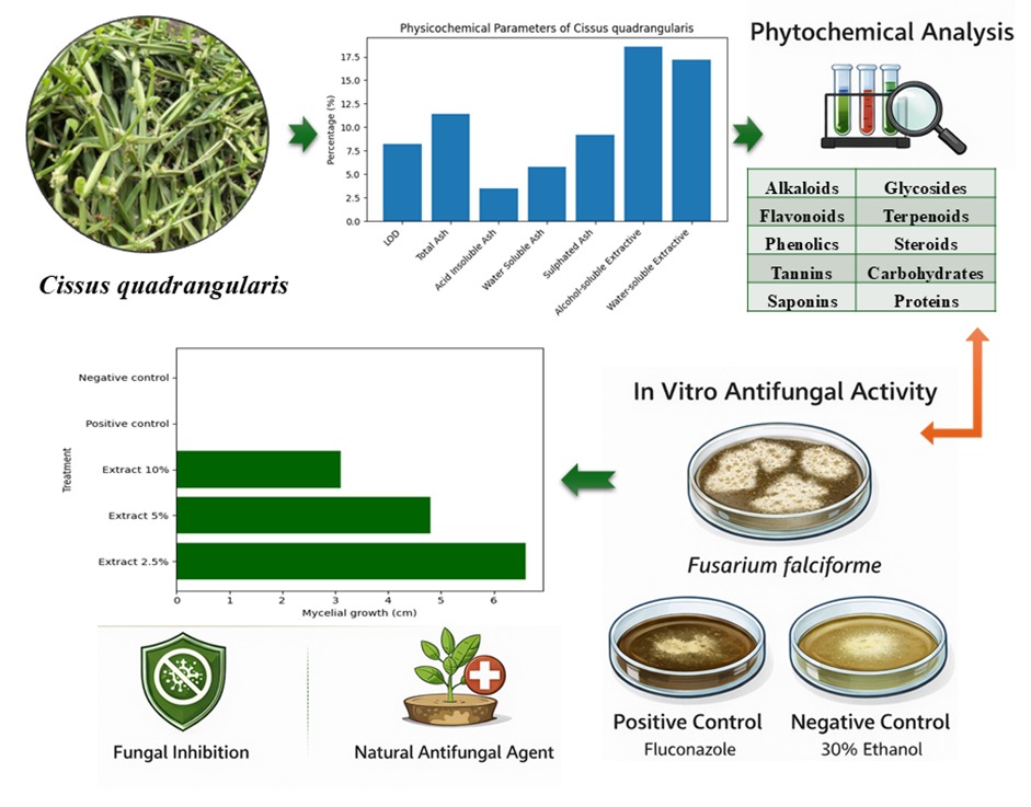 GA_Hydroalcoholic Extraction of Cissus quadrangularis and In Vitro Evaluation of Antifungal Properties